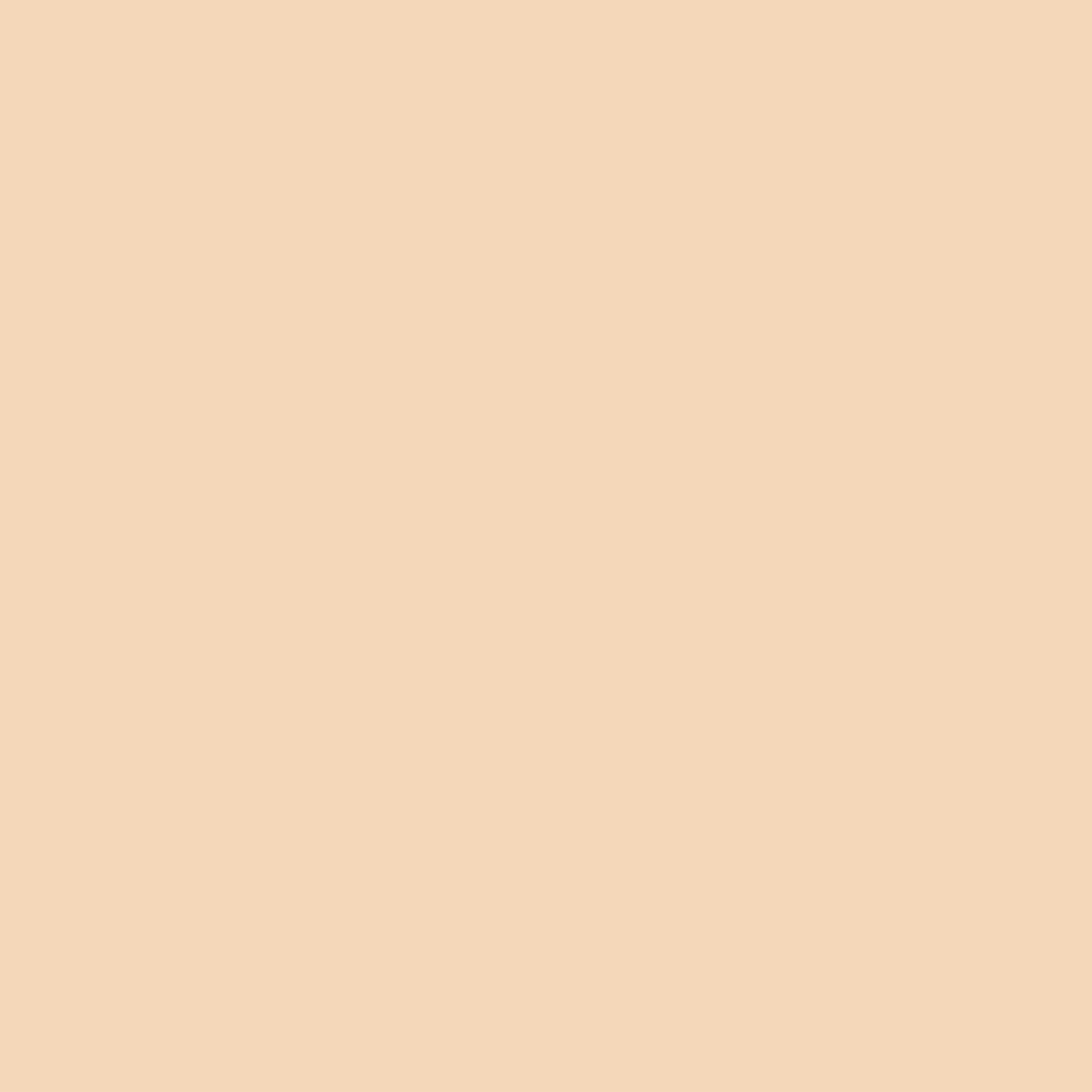Emmanouela Cosmetics No Filter Needed Foundation No1 30ml