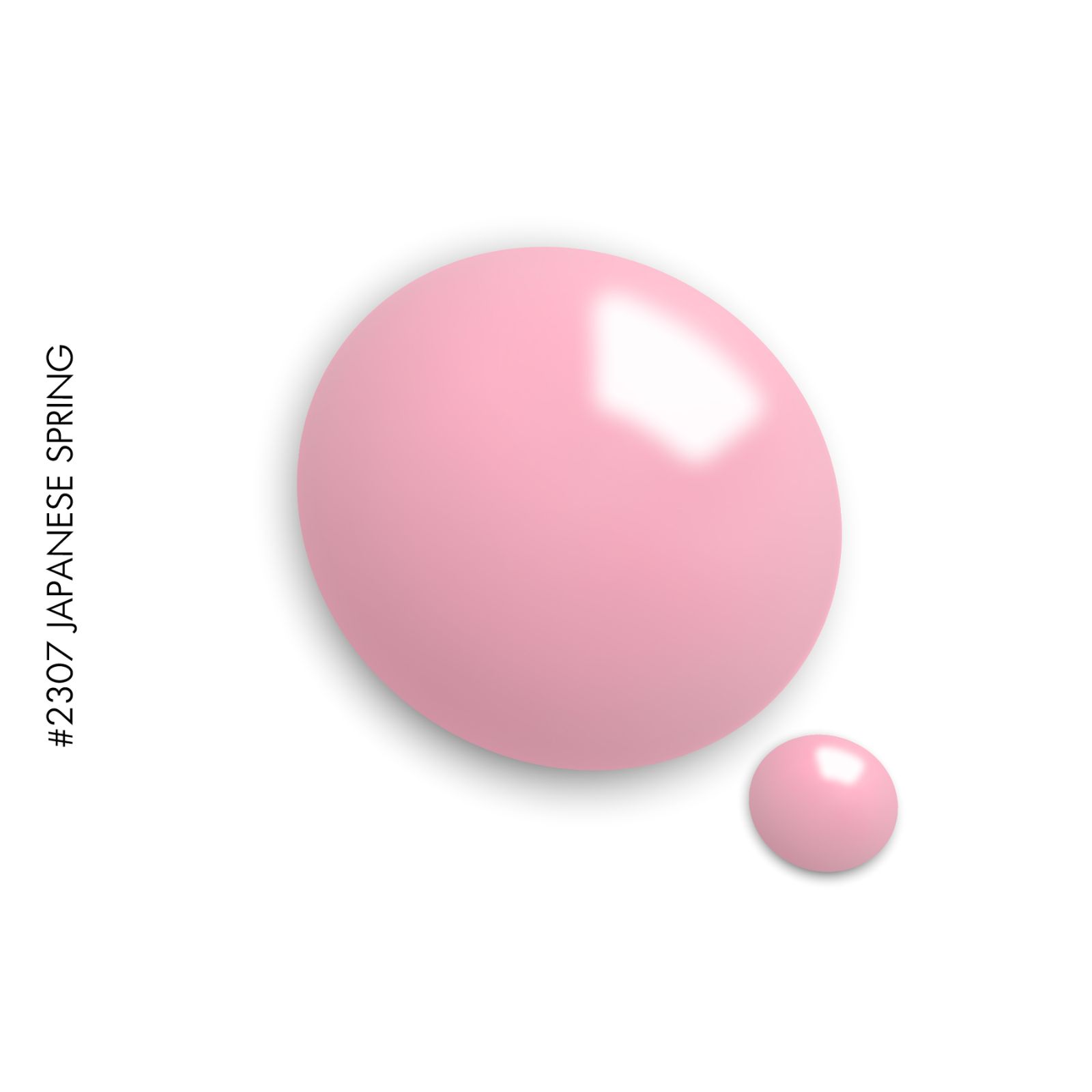 0052804
