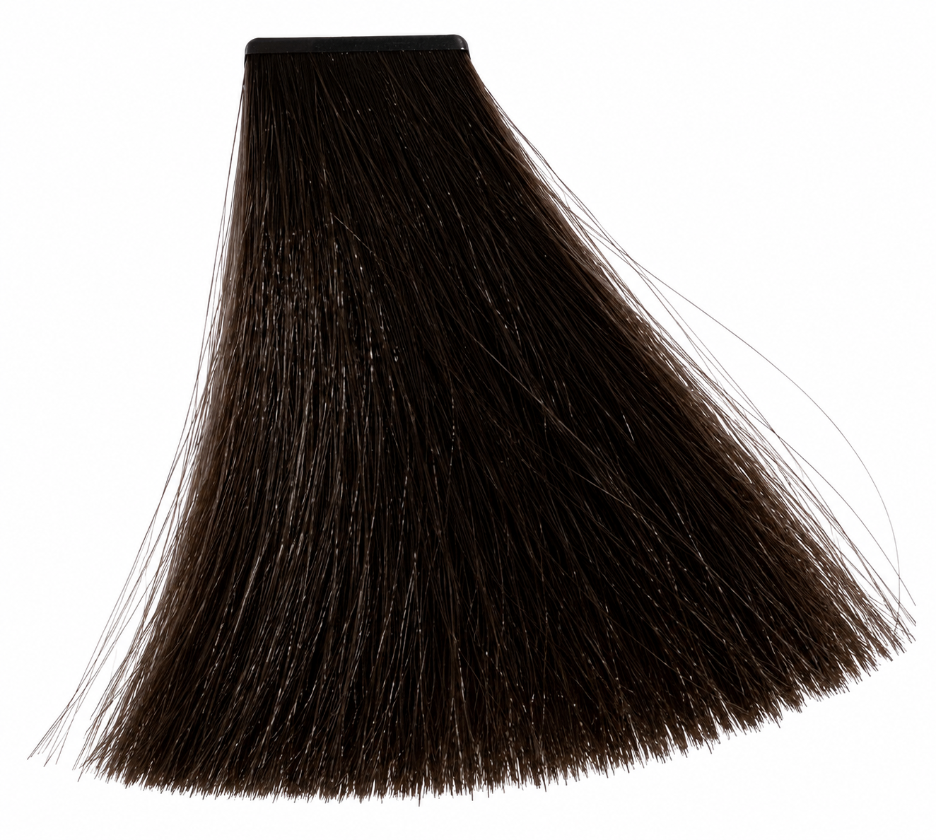CHESTNUT