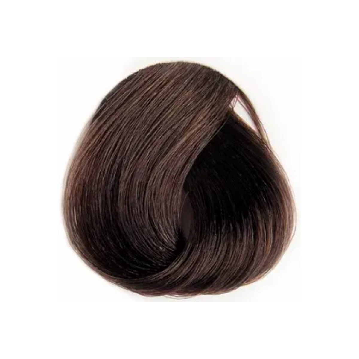 CHESTNUT LIGHT BROWN